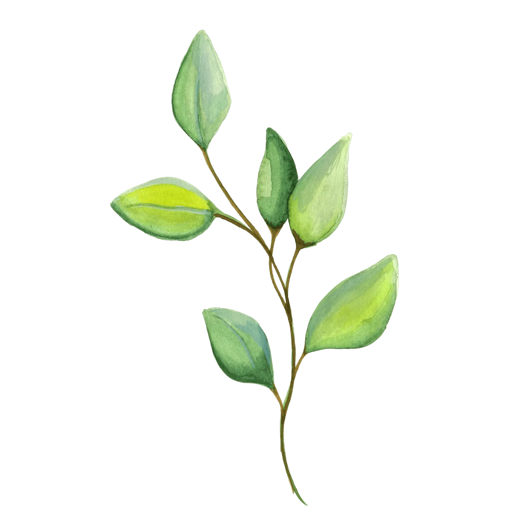 Leaf Decor
