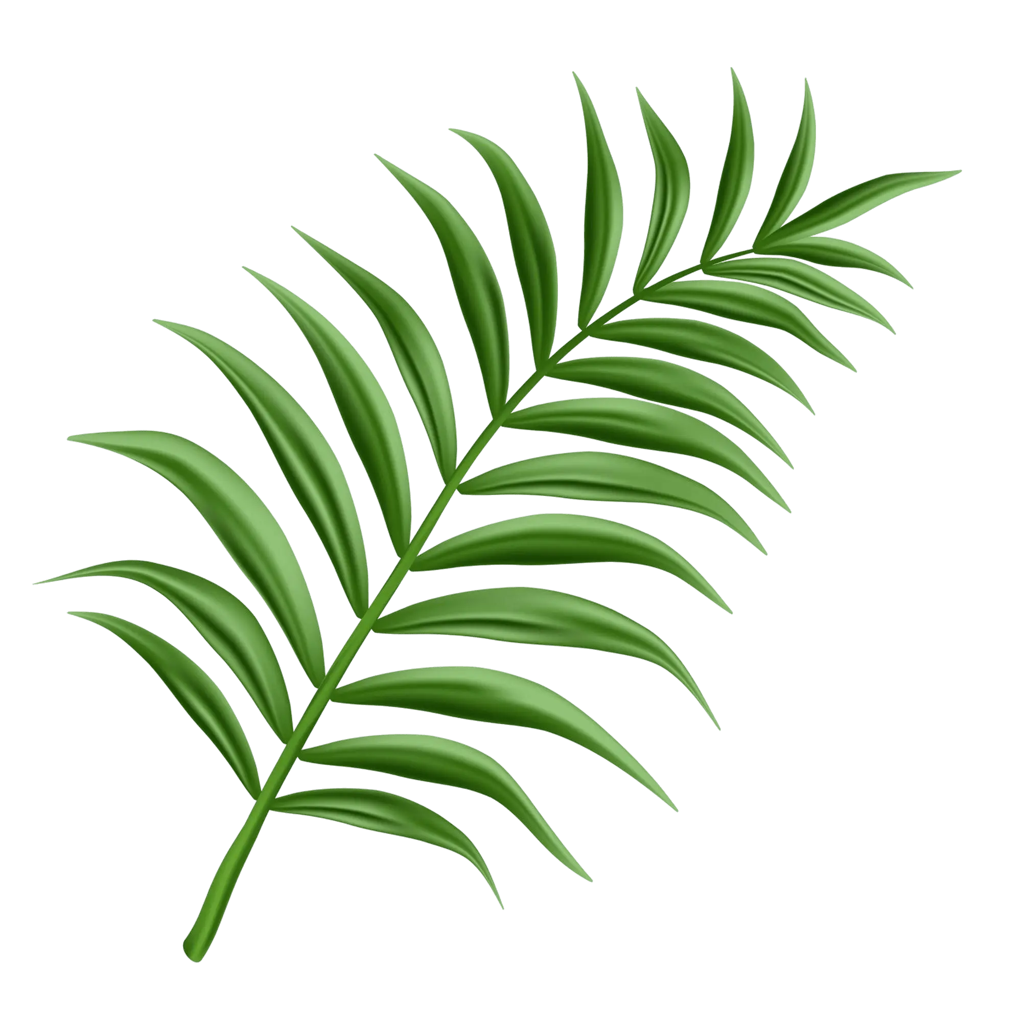 Plant Decor