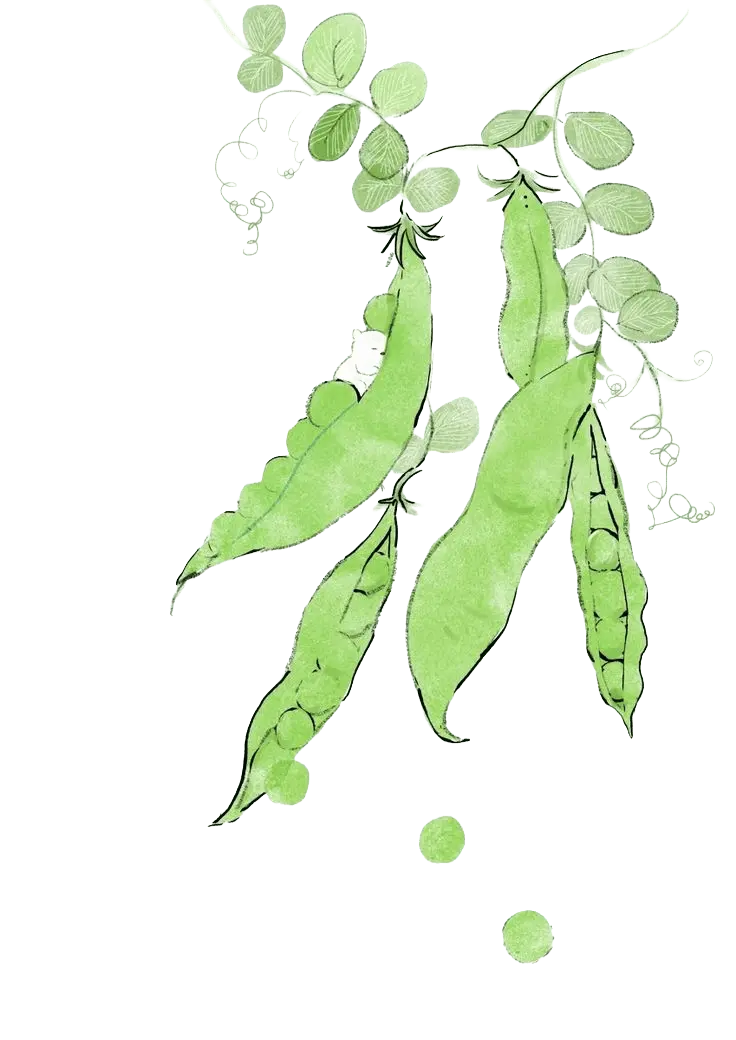 Plant Branch Decoration